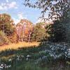 Late Spring, Jere Knight Wilderness
Oil, 9" x 12" 