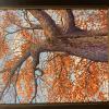 White Oak
Oil, 20" x 16" 