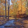 Cuttalossa Creek, Autumn
Oil, 18" x 14" 