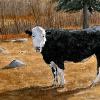 Bovine Pastoral
Watercolor, 4 x 7"
