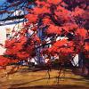 Autumn Ablaze
Watercolor, 13" x 21" 