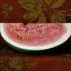 Watermelon, 
Oil, 10" x 14"