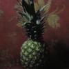 Pineapple on Red
Oil, 11" x 16"