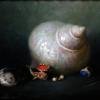 The Collection
Oil, 8" x 10" 