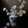 Lunaria
Oil, 14" x 11" 

